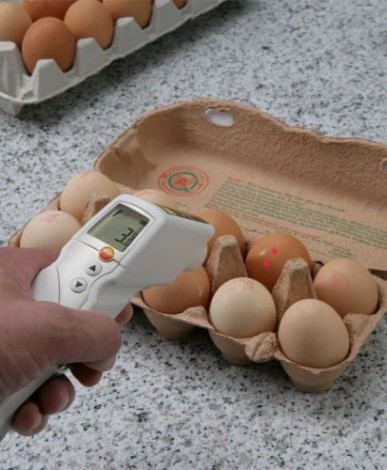 Инфракрасный термометр Testo 831 [05608316]