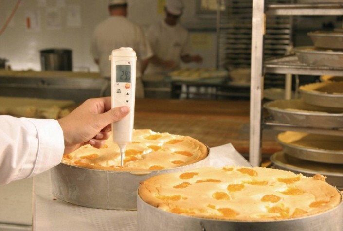 Измеритель температуры погружной Testo 106 [0560 1063]