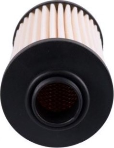 Картридж PIUSI F00611040 для фильтра F00611B10