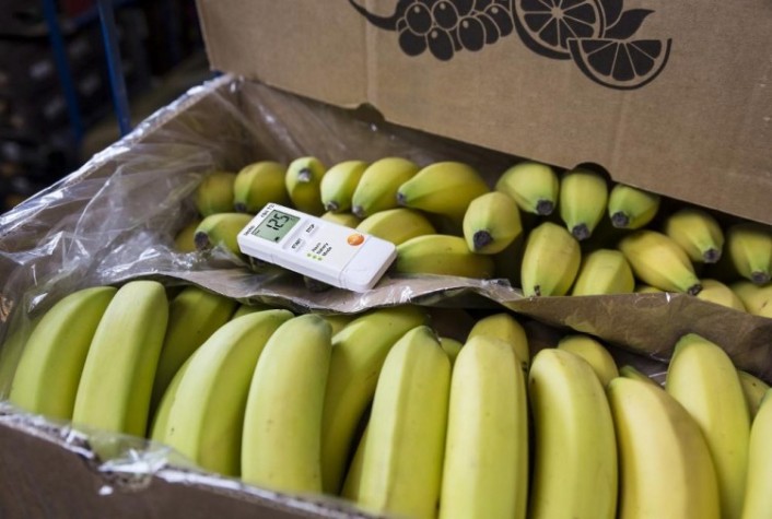 Логгер данных температуры Testo 184 T3 [05721843]