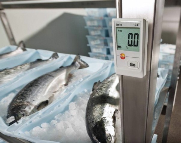 Мини логгер данных температуры Testo 174Т [05721560]