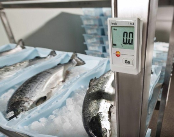 Мини логгер данных температуры Testo 174Т с USB-интерфейсом [05720561]