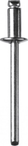 Заклепка из нержавеющей стали KRAFTOOL Inox 4.8х30 мм, 250 шт [311705-48-30]